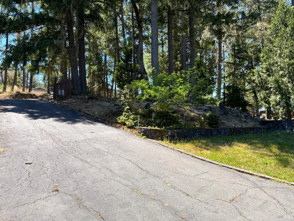 16990 Old Boy Scout Road Willits, CA 95490