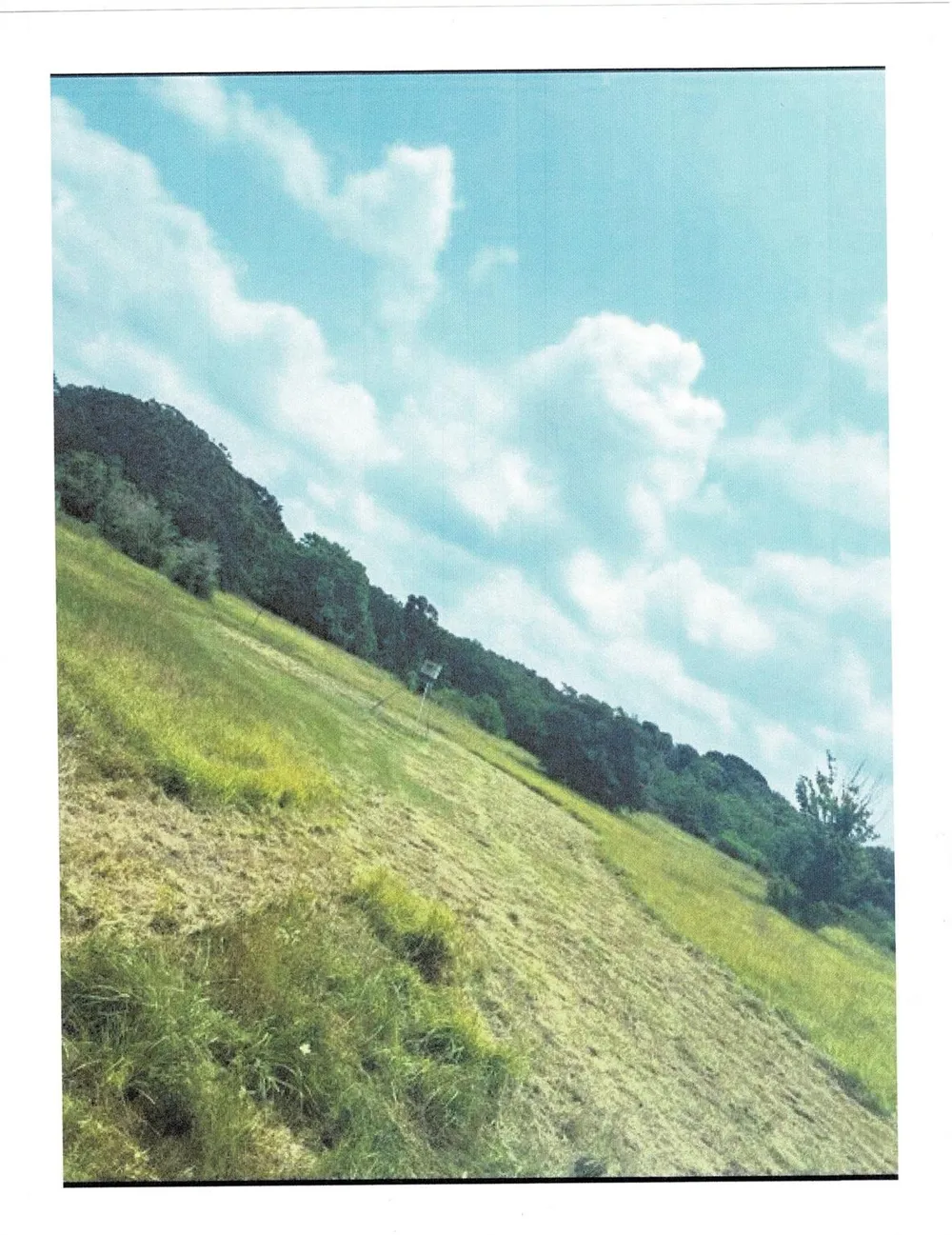 Cr 343 Road Blessing, TX 77419
