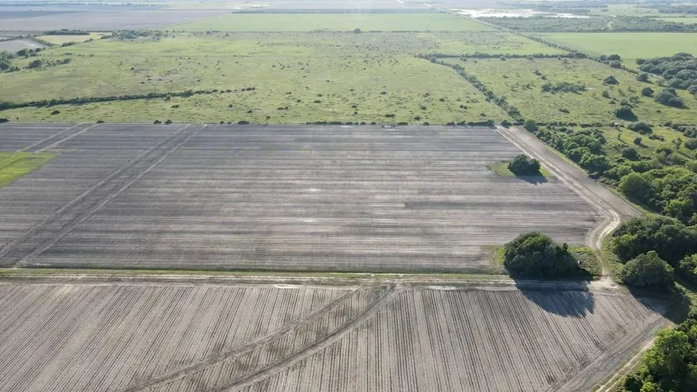 Cr 343 Road Blessing, TX 77419