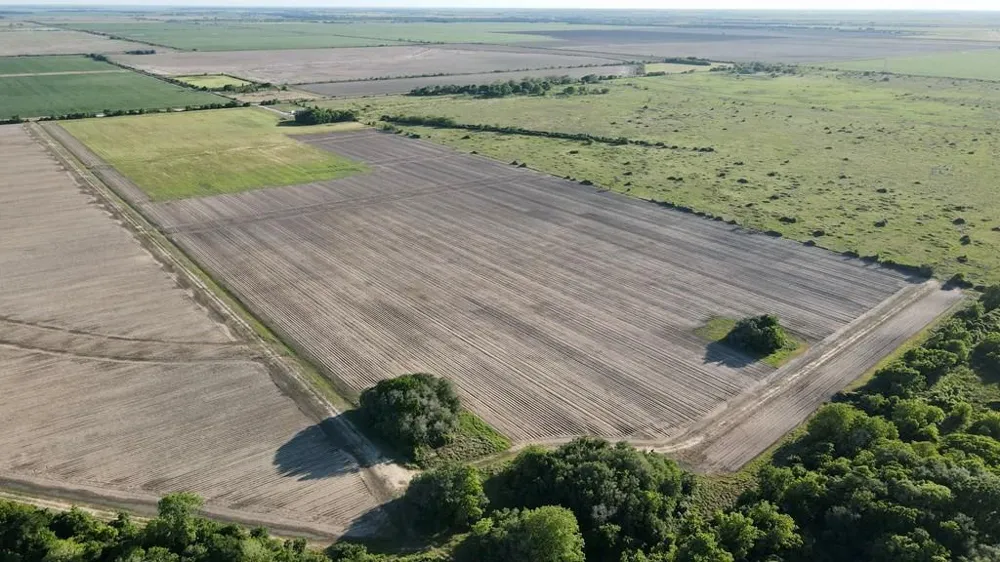 Cr 343 Road Blessing, TX 77419
