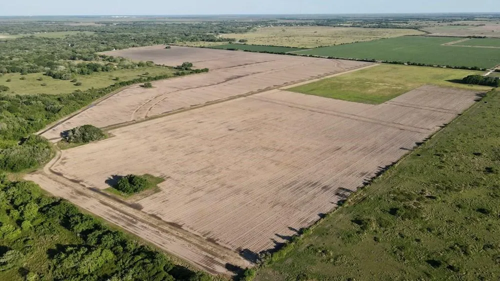 Cr 343 Road Blessing, TX 77419