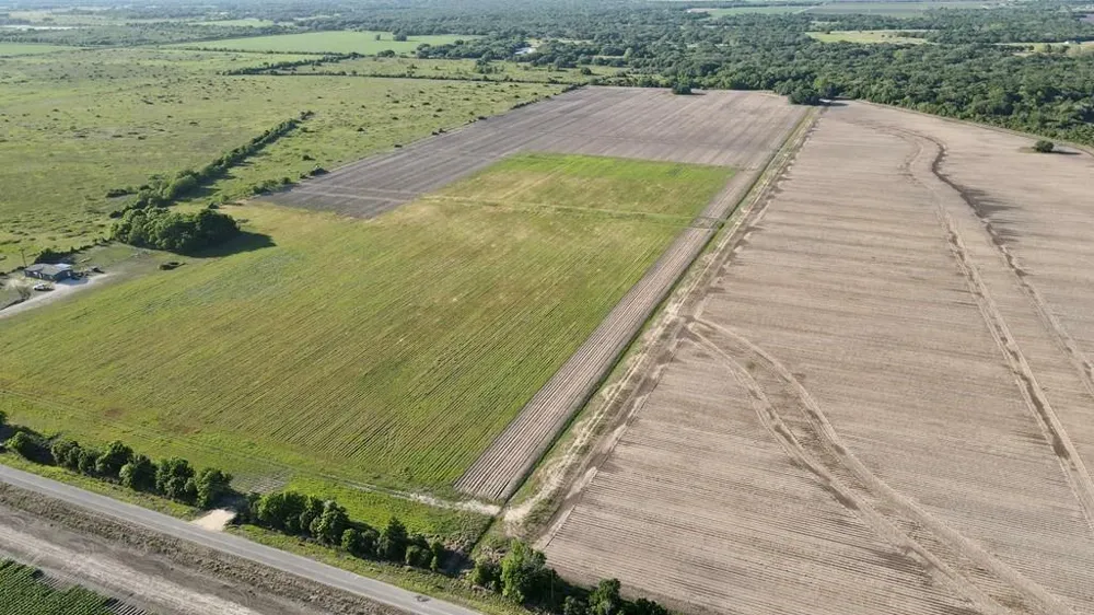 Cr 343 Road Blessing, TX 77419