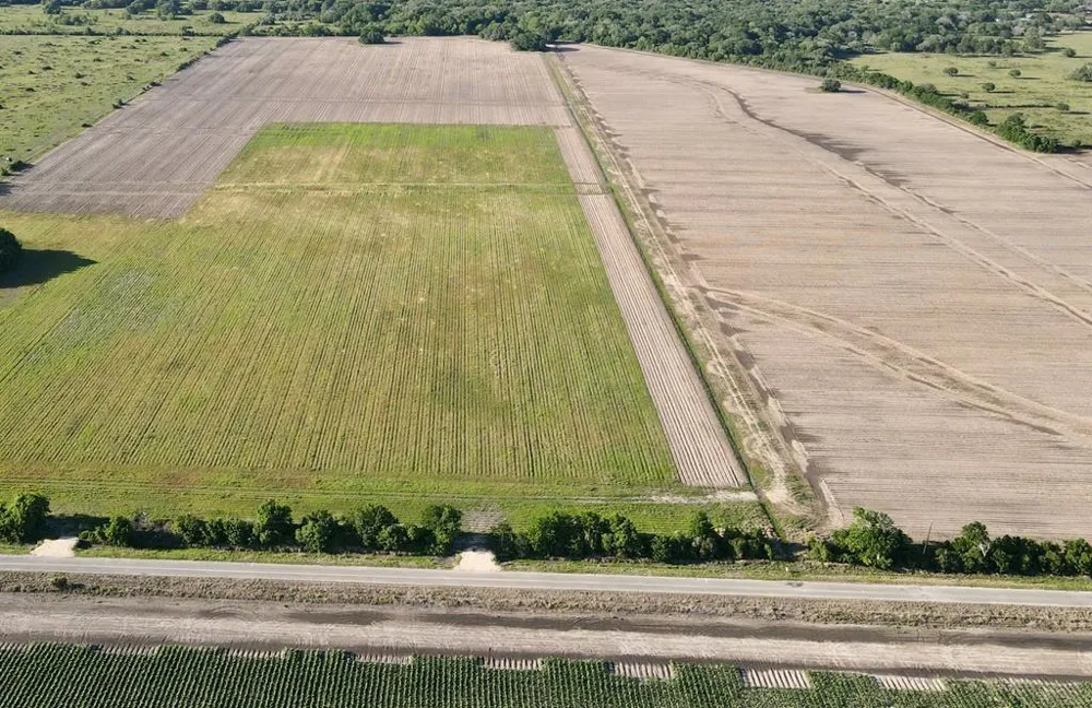 Cr 343 Road Blessing, TX 77419