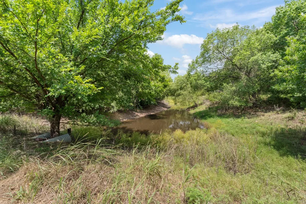 1127 Mallard Lane Glen Rose, TX 76043