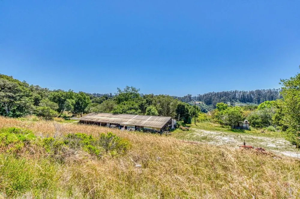 Maher Road Royal Oaks, CA 95076