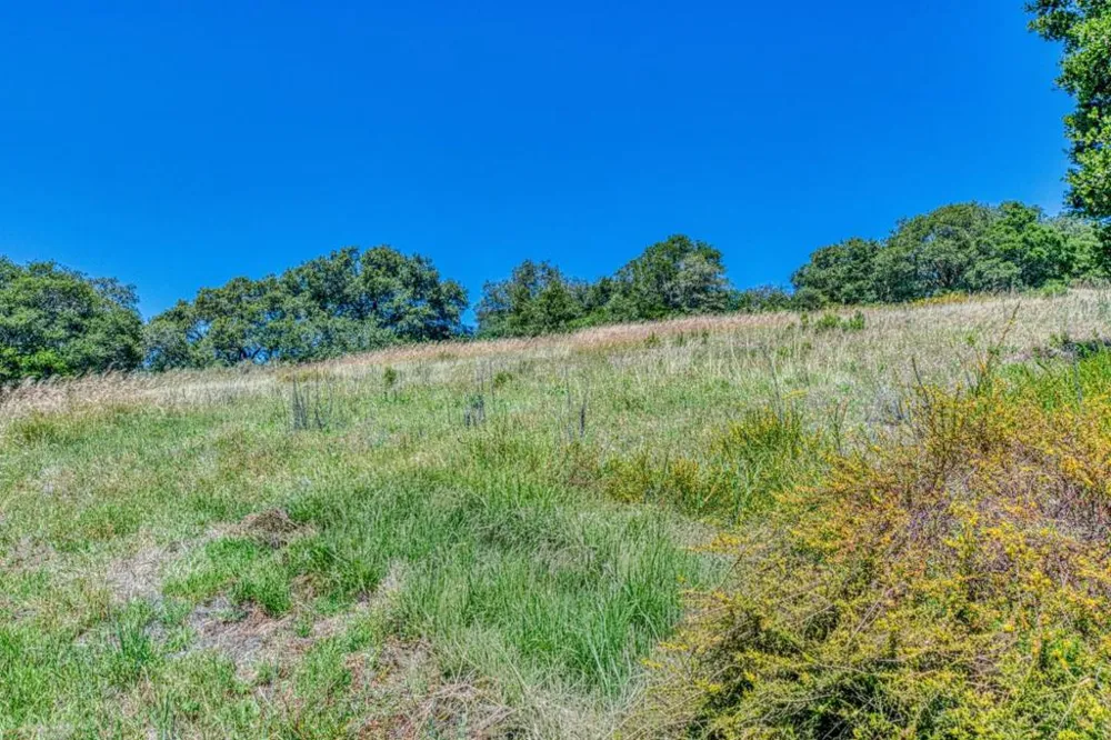Maher Road Royal Oaks, CA 95076