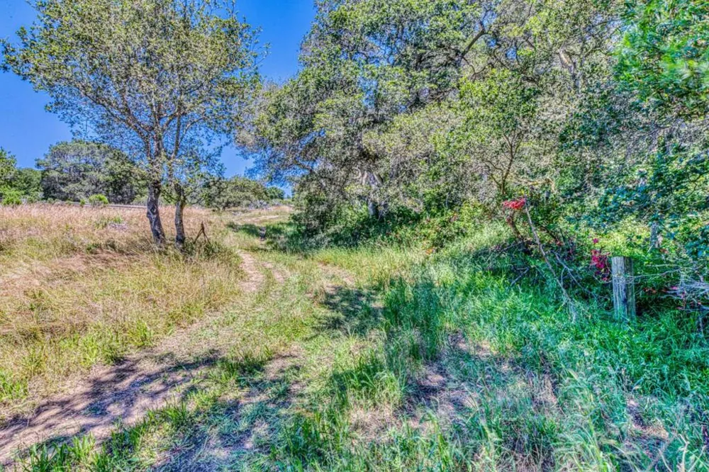 Maher Road Royal Oaks, CA 95076