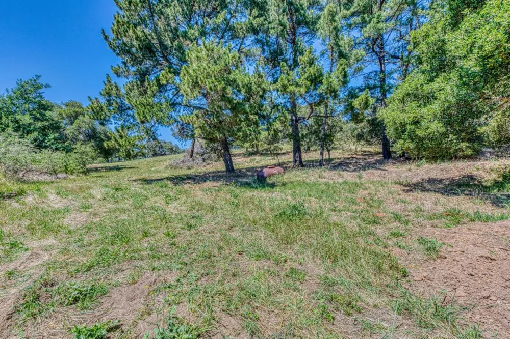Maher Road Royal Oaks, CA 95076