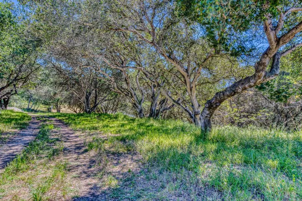Maher Road Royal Oaks, CA 95076