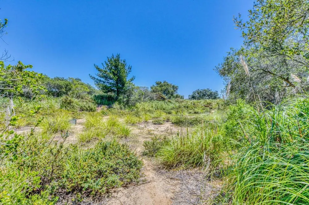 Maher Road Royal Oaks, CA 95076