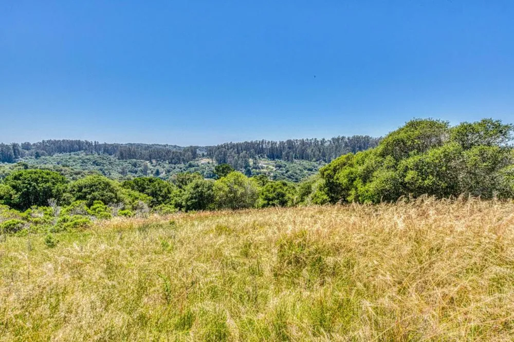 Maher Road Royal Oaks, CA 95076