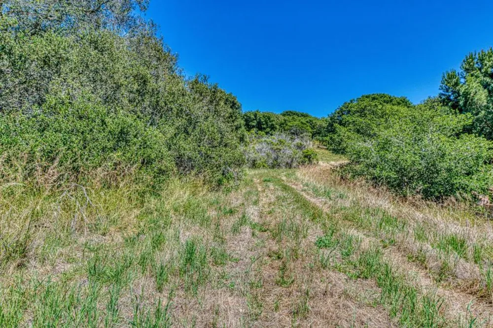 Maher Road Royal Oaks, CA 95076
