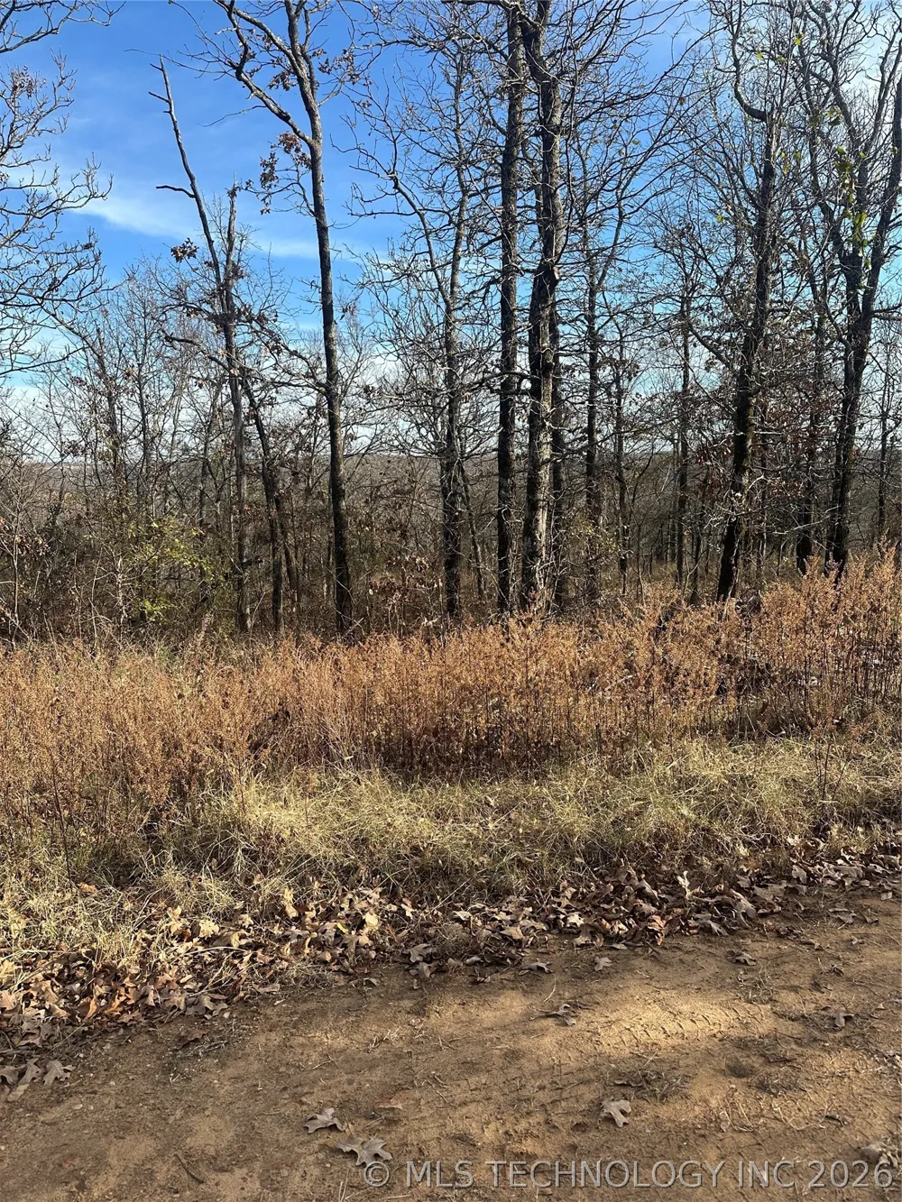 S 4557 ROAD Vian, OK 74962