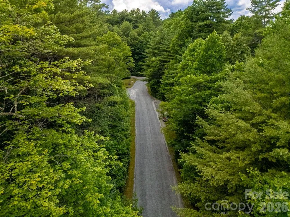 1571 Eagle Lake Drive #153 Brevard, NC 28712