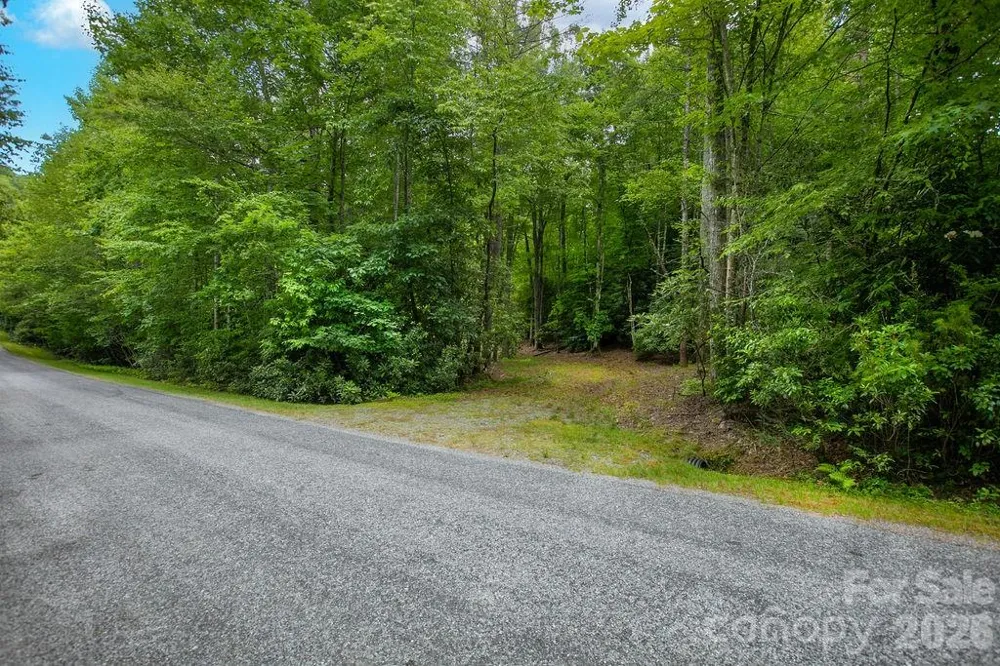 1571 Eagle Lake Drive #153 Brevard, NC 28712