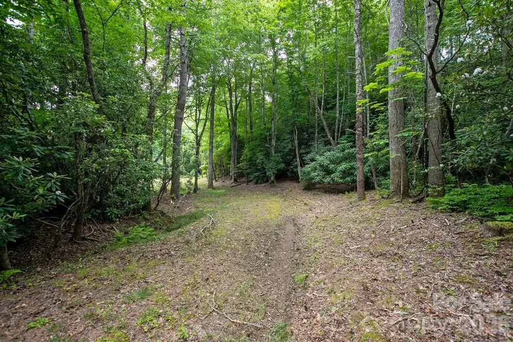 1571 Eagle Lake Drive #153 Brevard, NC 28712