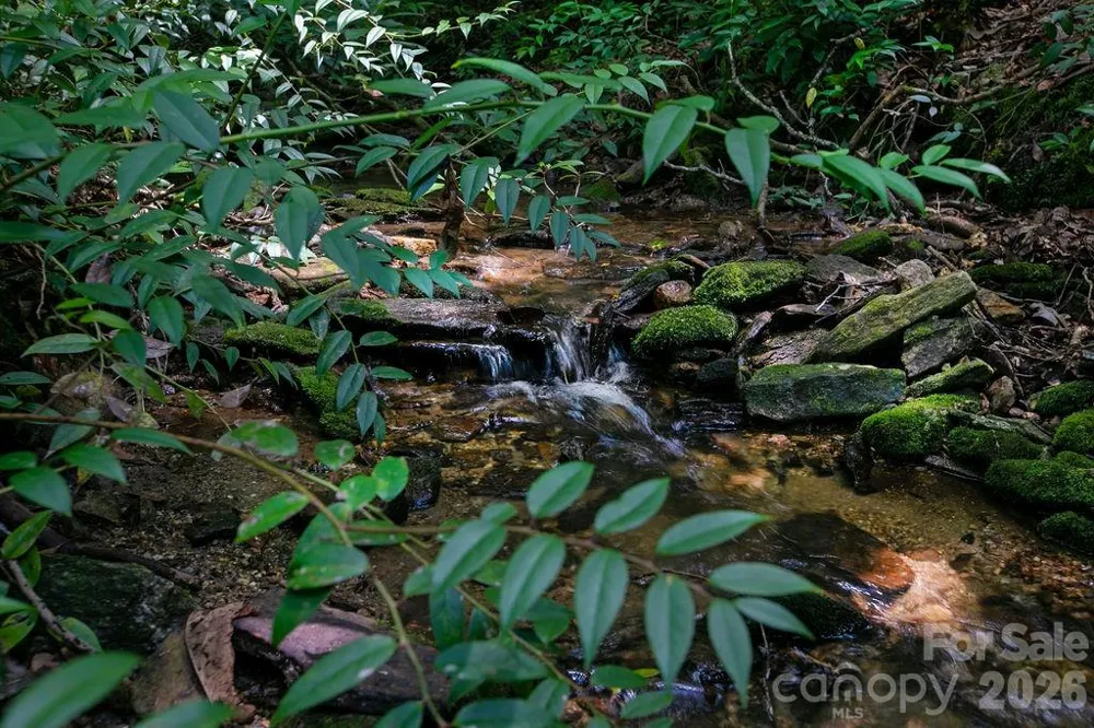 1571 Eagle Lake Drive #153 Brevard, NC 28712