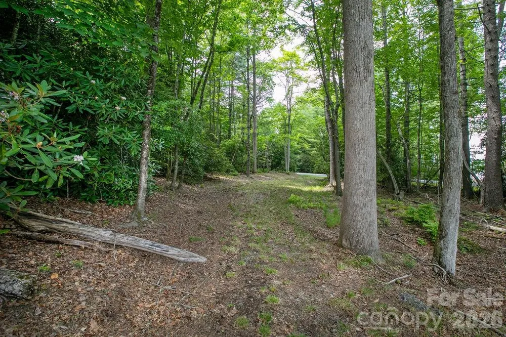 1571 Eagle Lake Drive #153 Brevard, NC 28712