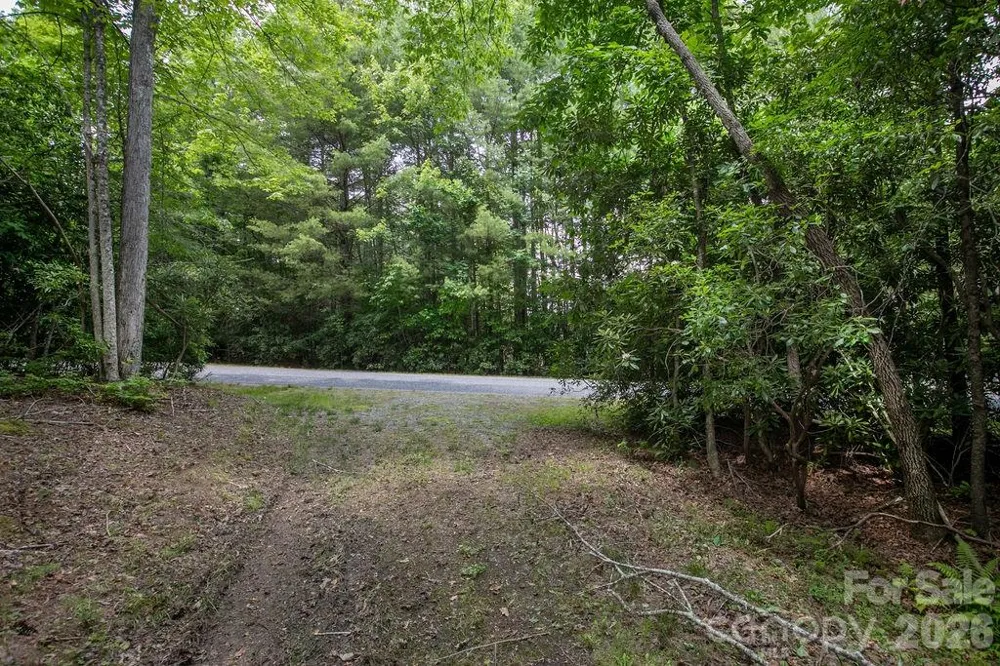 1571 Eagle Lake Drive #153 Brevard, NC 28712