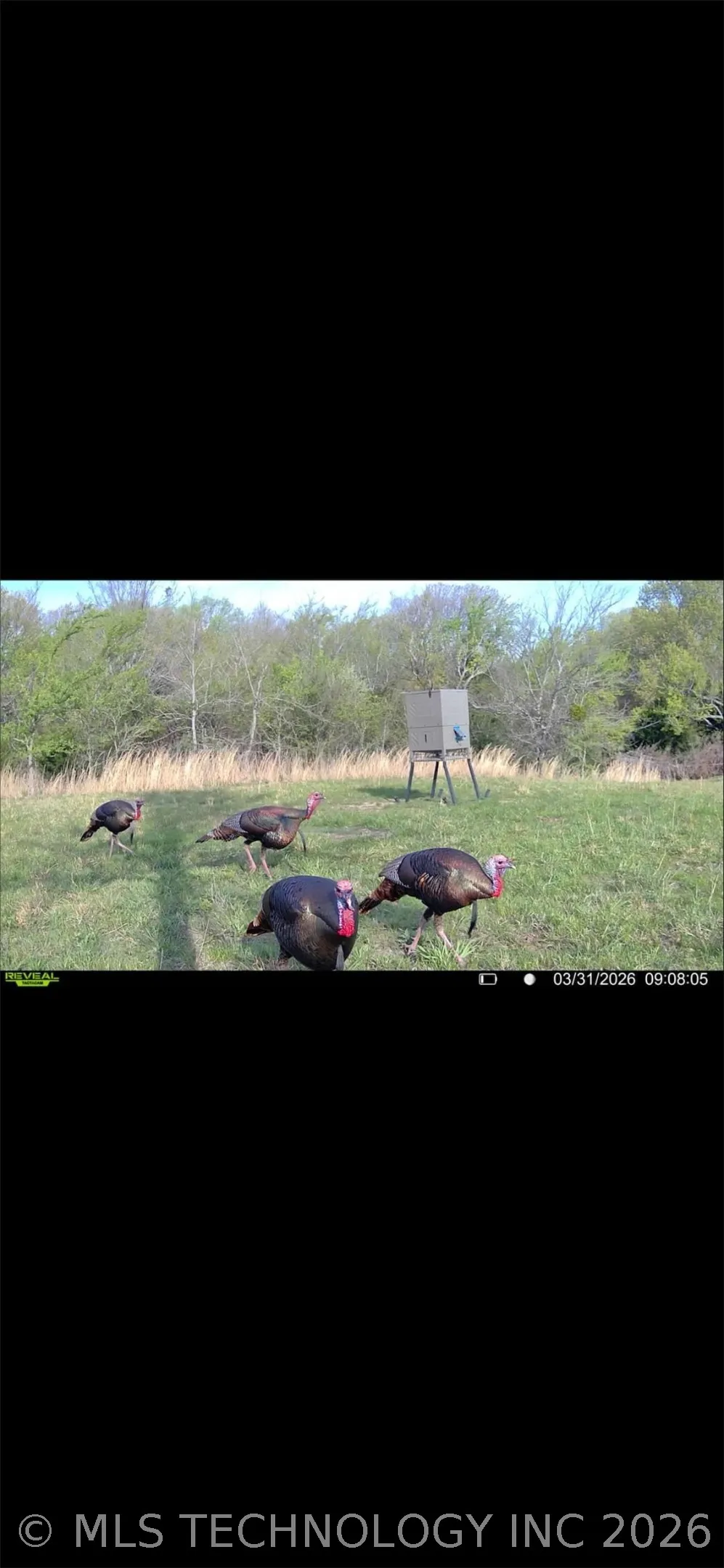 108531 S 4130 ROAD Checotah, OK 74426