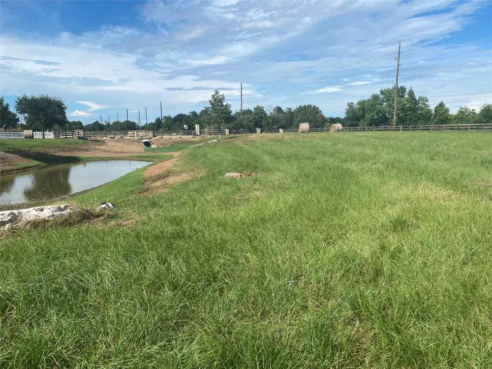 32007 Meadow View Lane Waller, TX 77484
