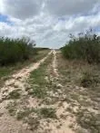 Blackbrush Spur Road