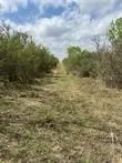 Blackbrush Spur Road George West, TX 78022