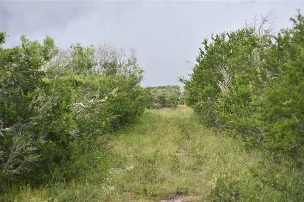 Blackbrush Spur Road George West, TX 78022