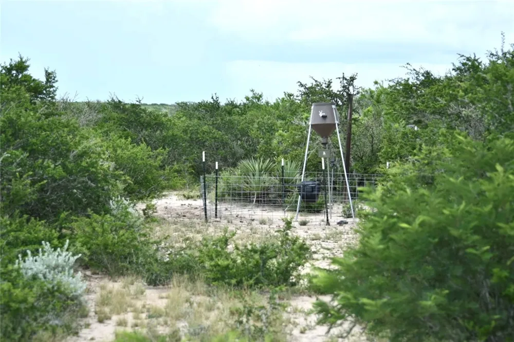 Blackbrush Spur Road George West, TX 78022