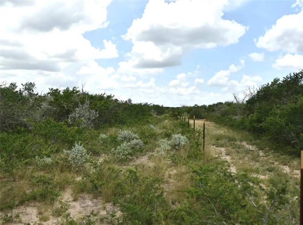 Blackbrush Spur Road George West, TX 78022