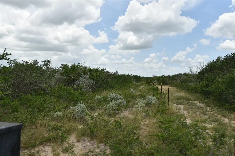 Blackbrush Spur Road George West, TX 78022