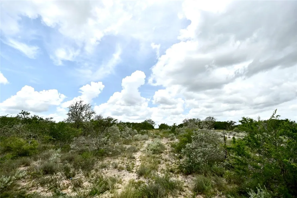 Blackbrush Spur Road George West, TX 78022