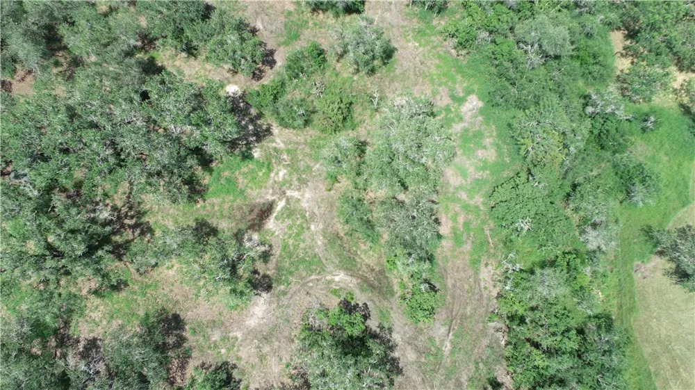 6962 County Road 604 Skidmore, TX 78389