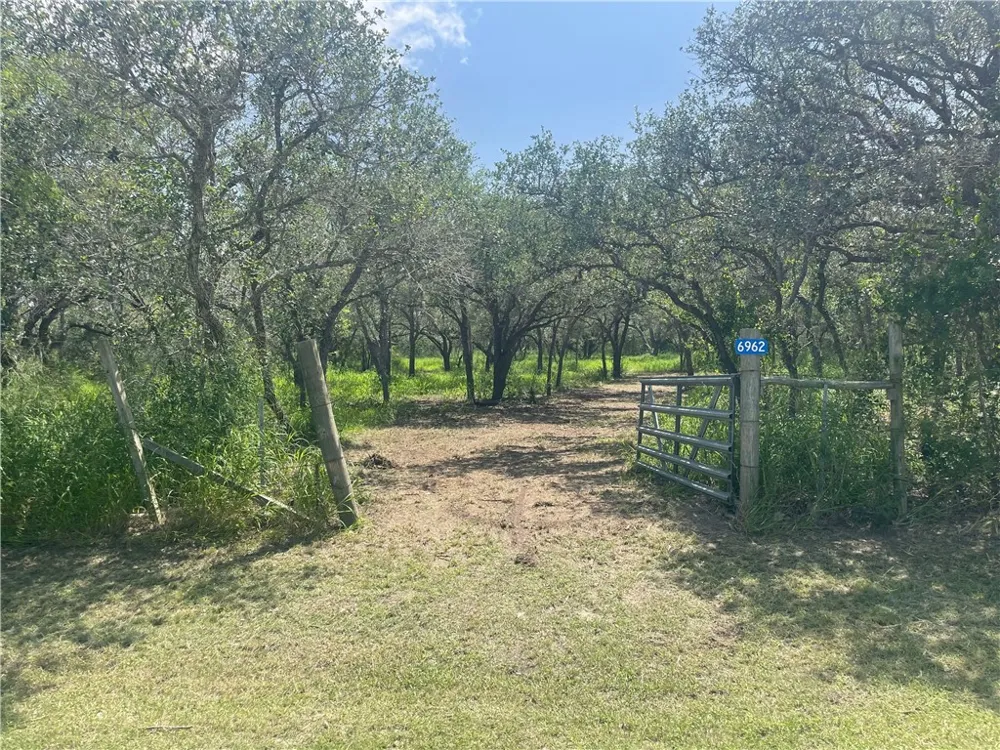 6962 County Road 604 Skidmore, TX 78389