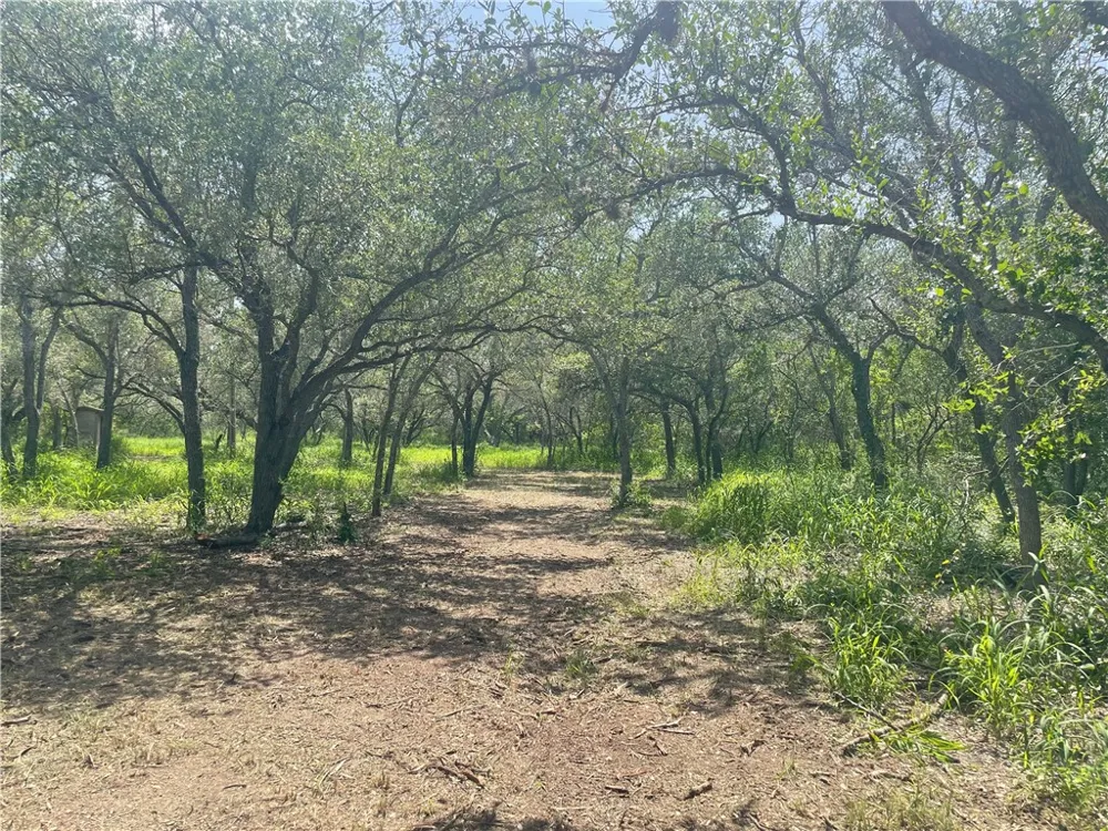 6962 County Road 604 Skidmore, TX 78389