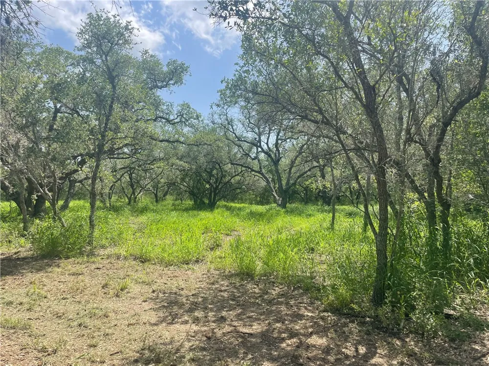6962 County Road 604 Skidmore, TX 78389
