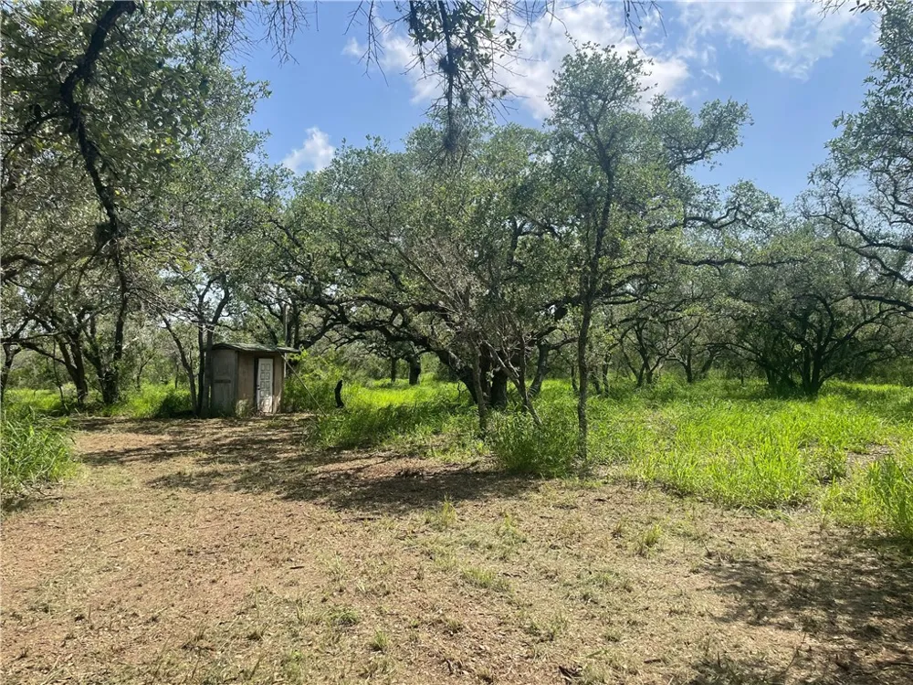 6962 County Road 604 Skidmore, TX 78389