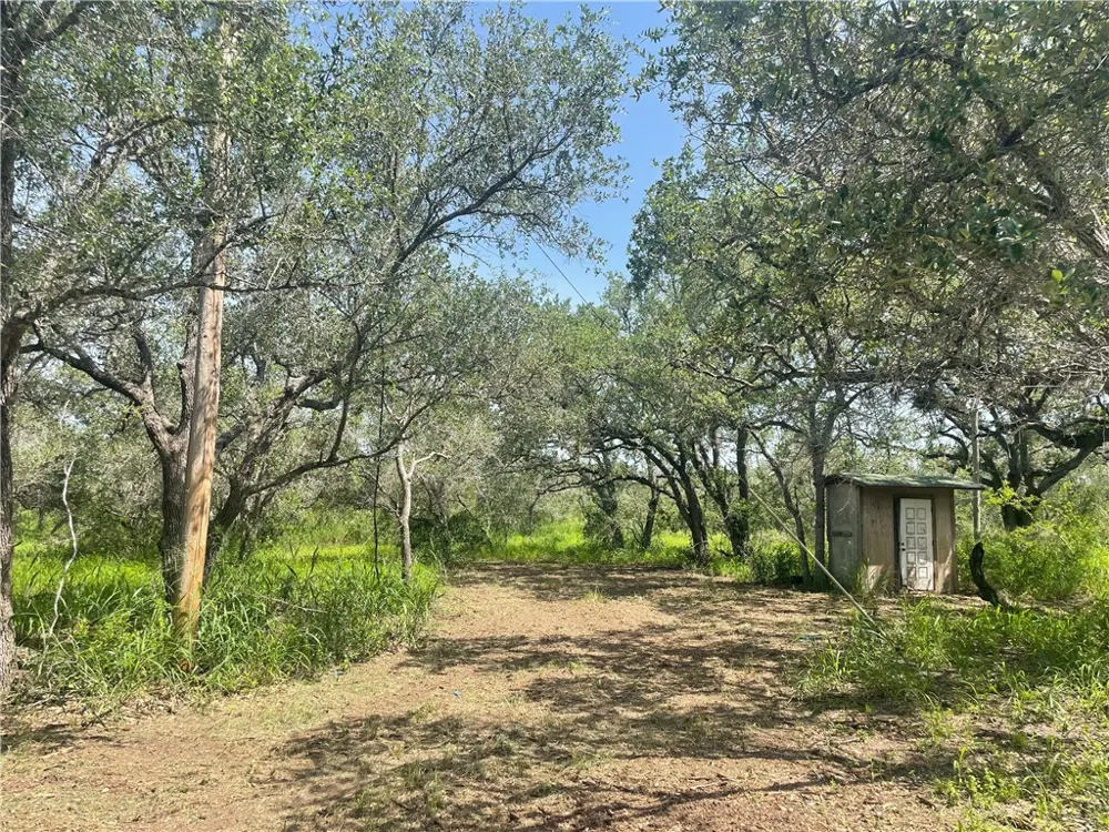 6962 County Road 604 Skidmore, TX 78389