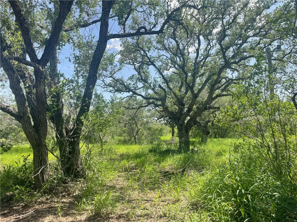 6962 County Road 604 Skidmore, TX 78389