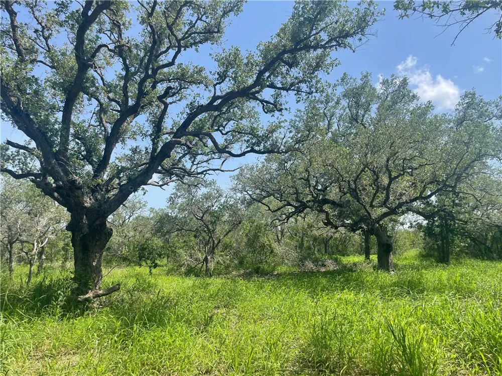 6962 County Road 604 Skidmore, TX 78389