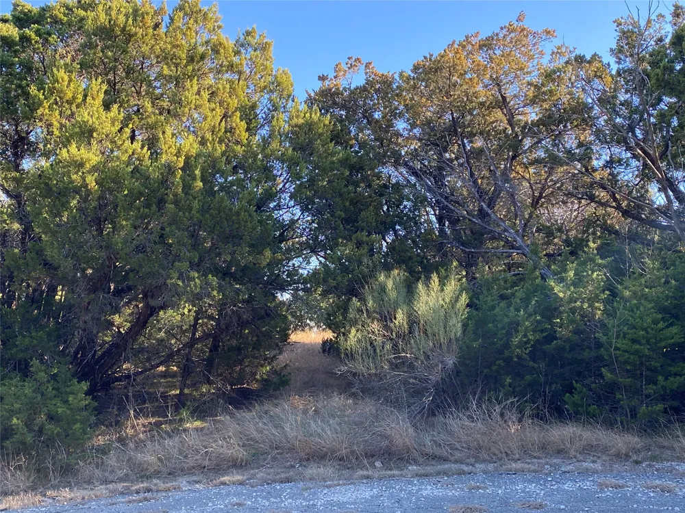 1270 Plateau Place Graford, TX 76449