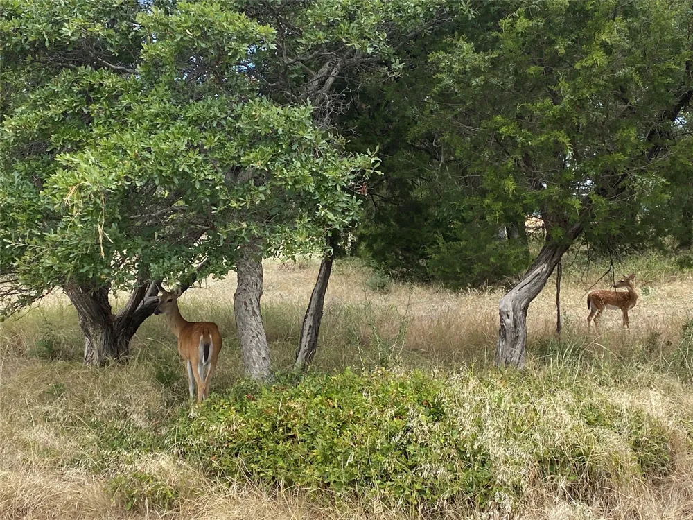 1270 Plateau Place Graford, TX 76449