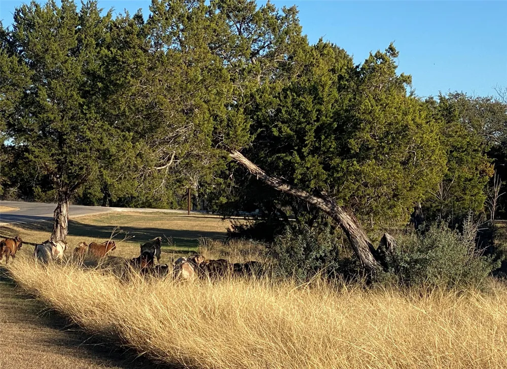 1270 Plateau Place Graford, TX 76449