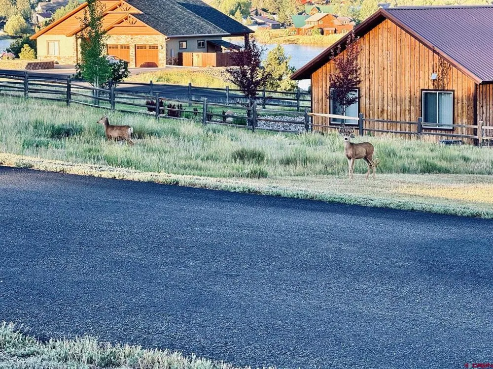374 Incline Circle Pagosa Springs, CO 81147