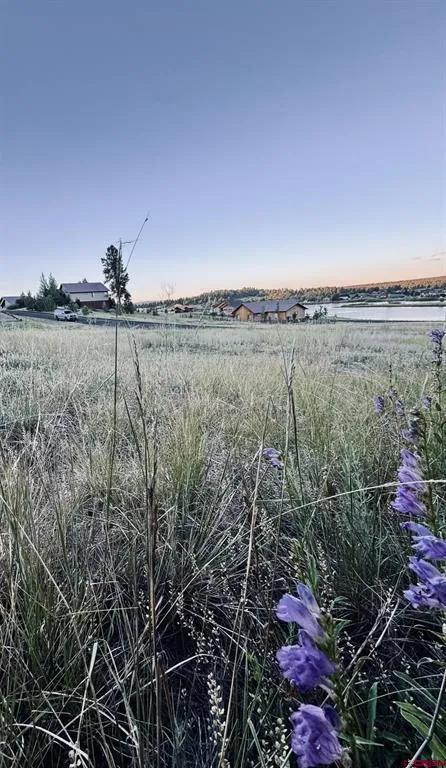 374 Incline Circle Pagosa Springs, CO 81147