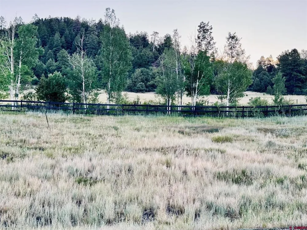 374 Incline Circle Pagosa Springs, CO 81147