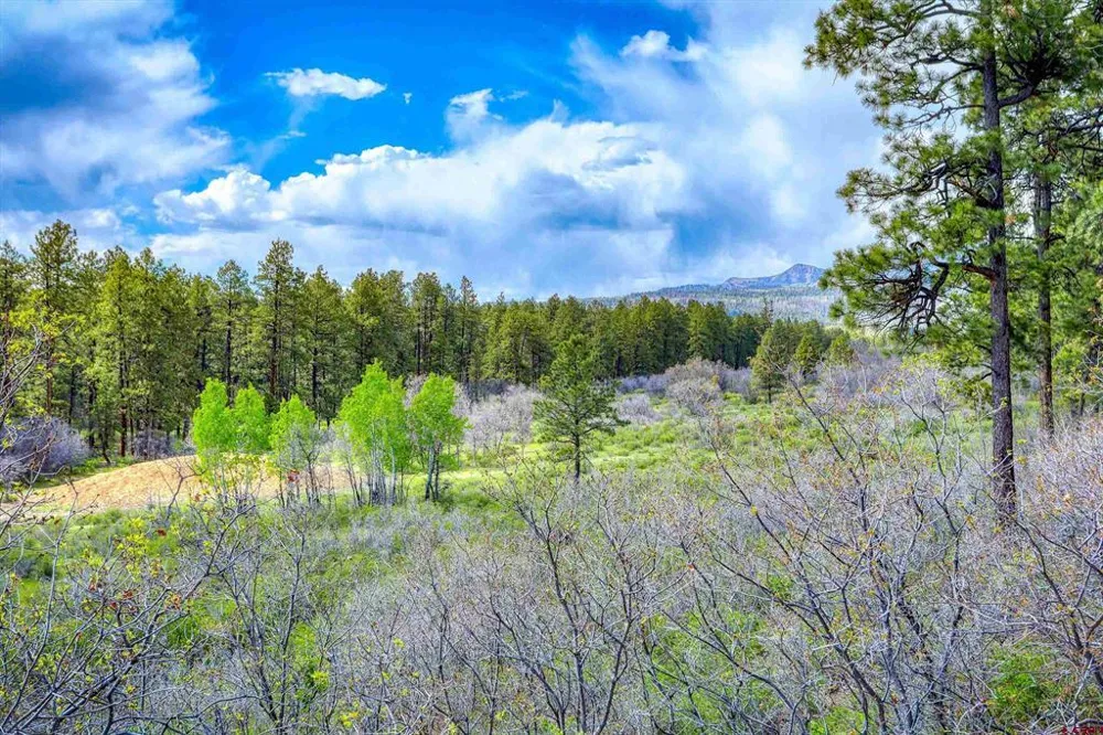701 Piney Place Pagosa Springs, CO 81147
