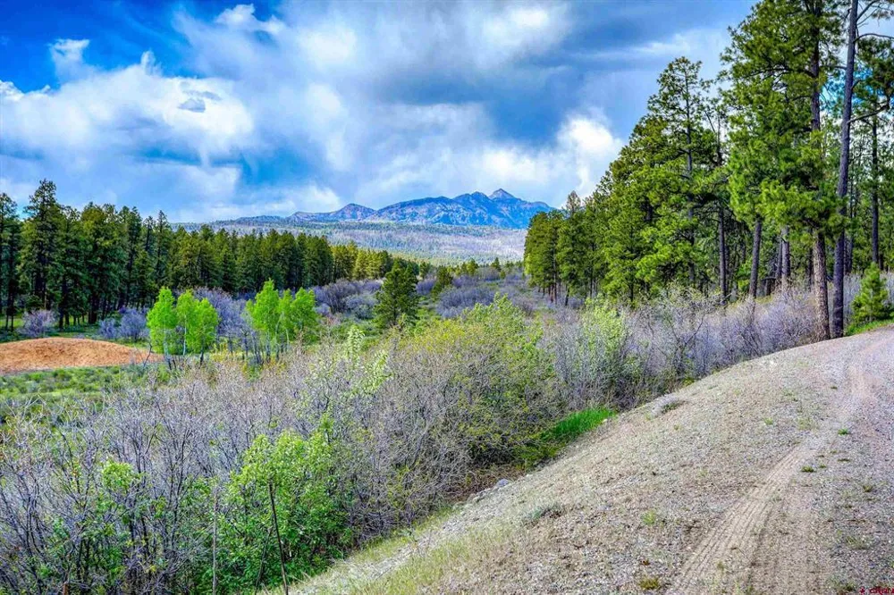 701 Piney Place Pagosa Springs, CO 81147
