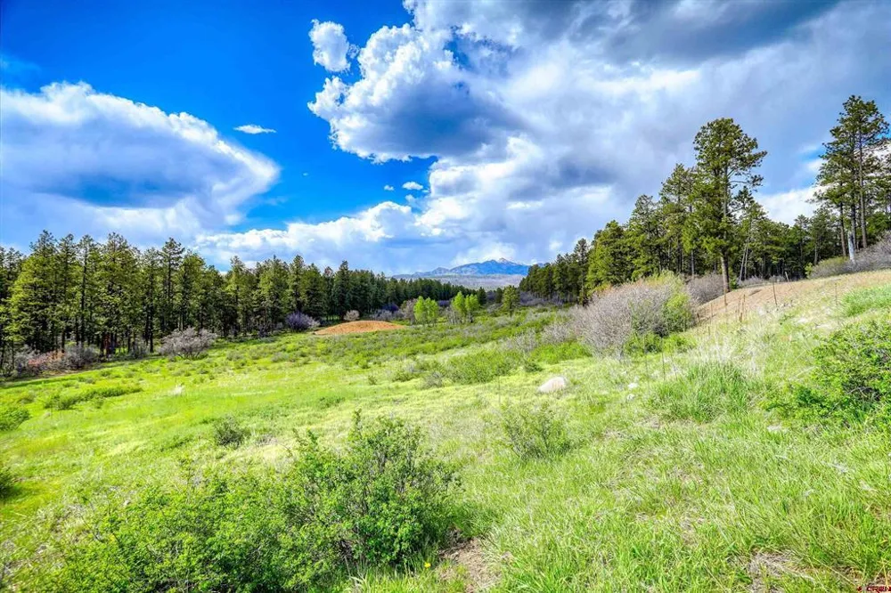 701 Piney Place Pagosa Springs, CO 81147