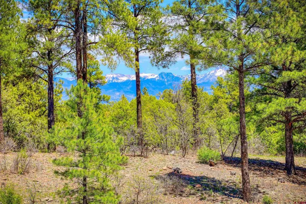 701 Piney Place Pagosa Springs, CO 81147